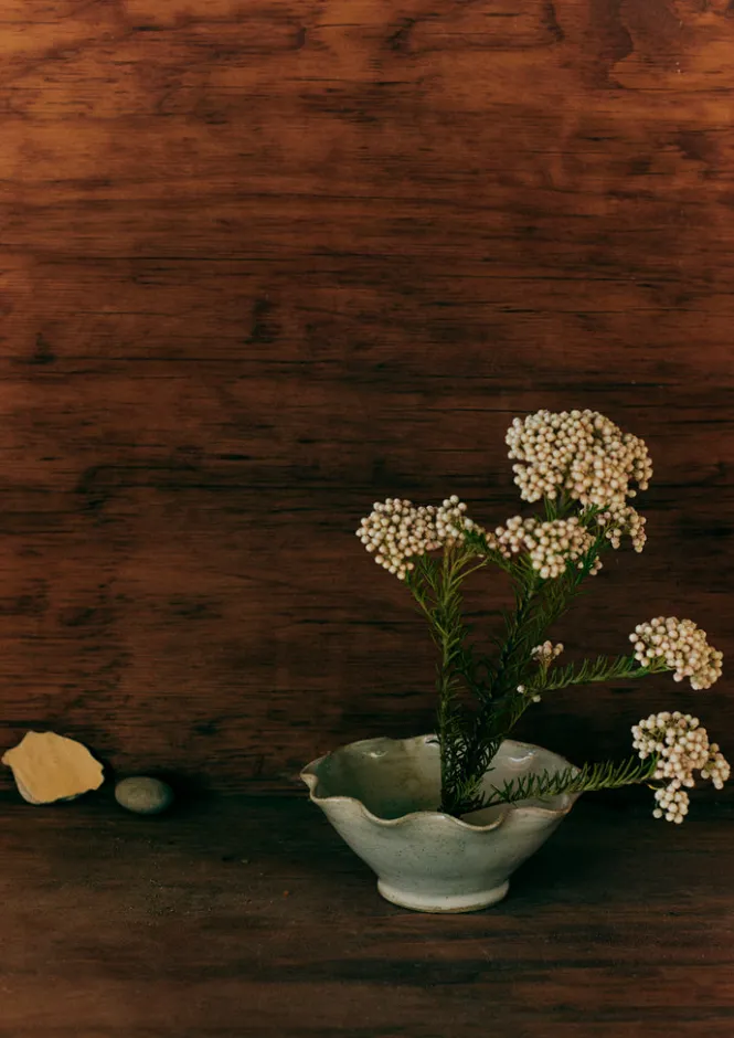Decorative Pieces|Ceramics-TOAST Alice Passingham Scalloped Flower Frog White