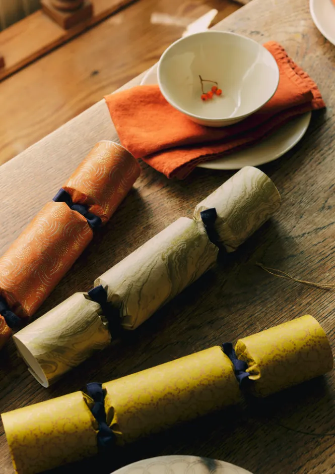 Christmas Decorations-TOAST Christmas Crackers Multi