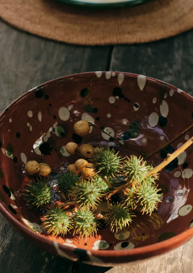 Ceramics|Tableware-TOAST Cortona Splatter Bowl Terracotta/Multi