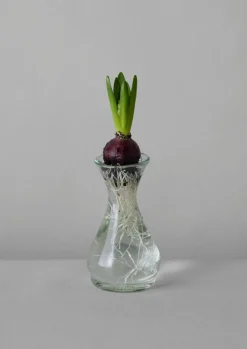 Glass|Decorative Pieces-TOAST Hand Blown Polonaise Vase Clear