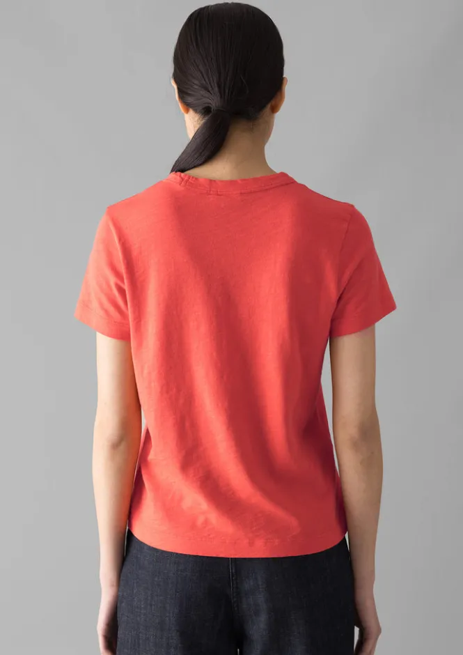 Jersey|Tops & Tees-TOAST Sadie Organic Cotton Boy Tee Poppy