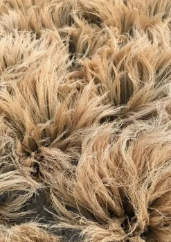 Outdoor|Kitchen-TOAST Sorghum Stripe Broom Toffee
